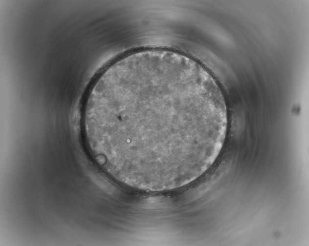 X0000103130584200809191943