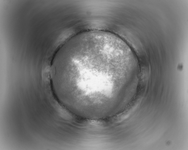 X0000103130585200809191943