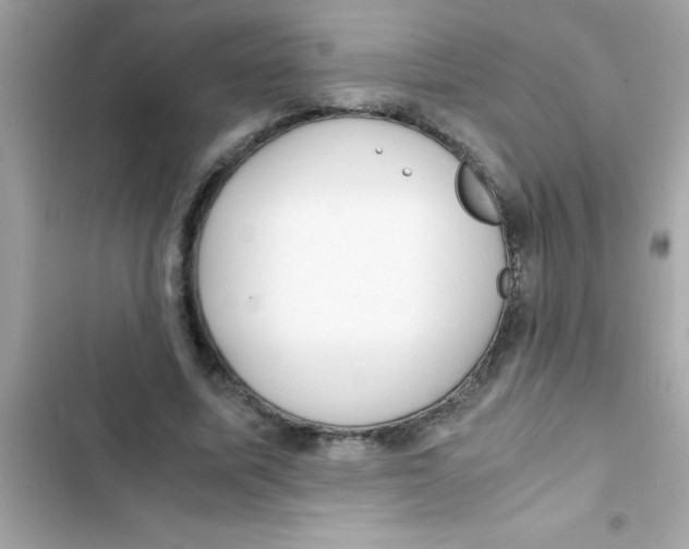 X0000103130587200809191943