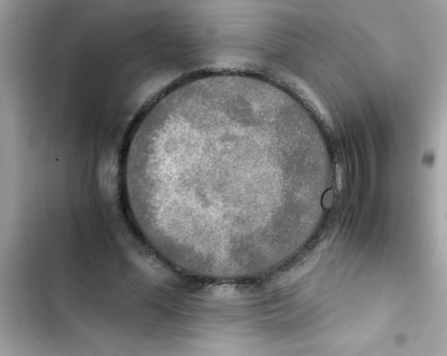 X0000103130588200809191943