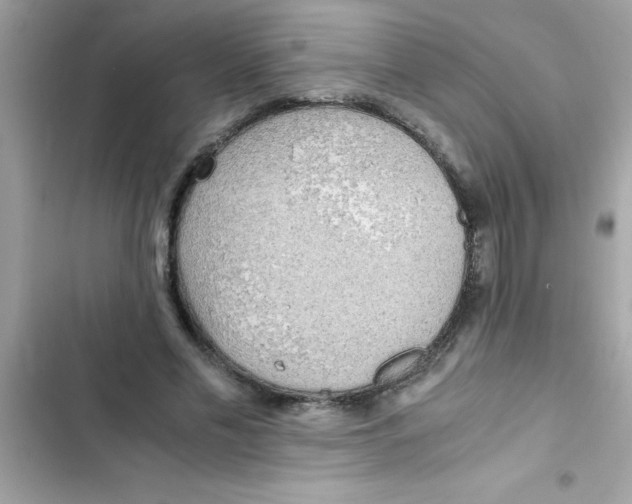 X0000103130589200809191943