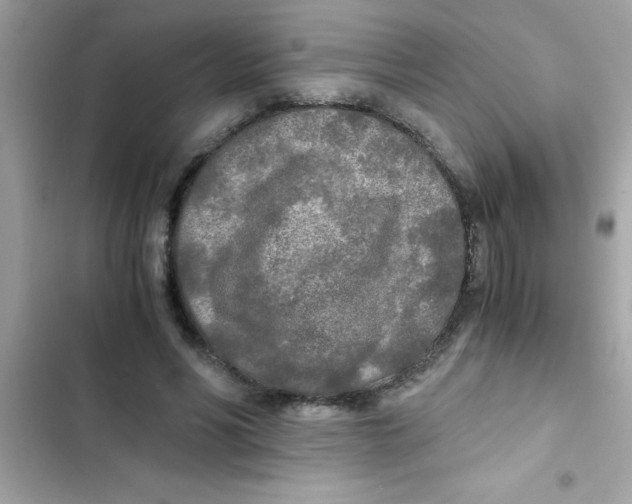 X0000103130590200809191943