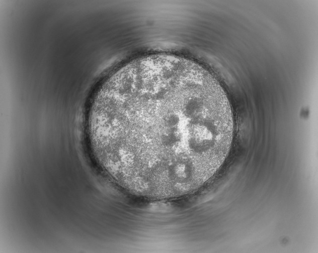 X0000103130591200809191943