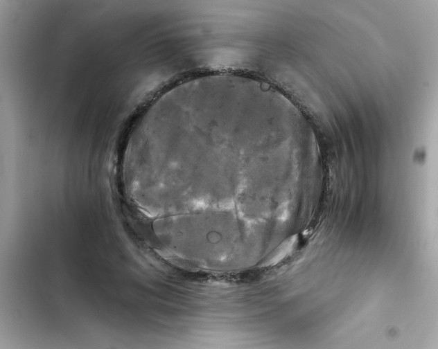 X0000103130592200809191943