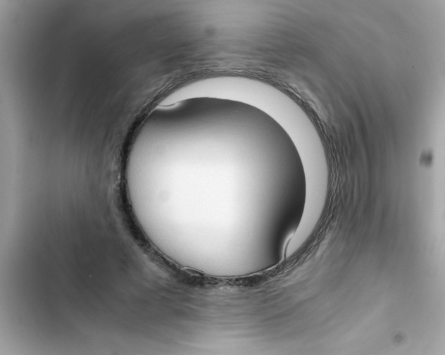 X0000103130593200809191943