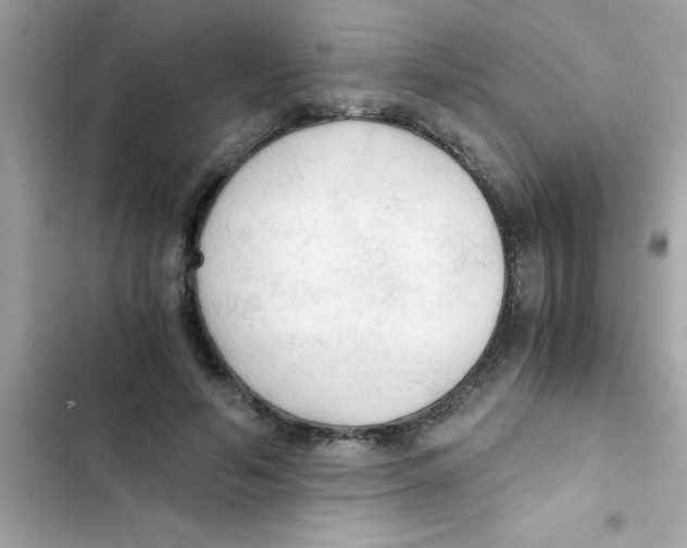 X0000103130594200809191943