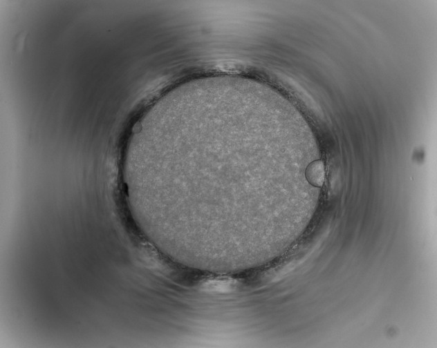 X0000103130595200809191943
