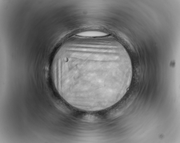 X0000103130596200809191943
