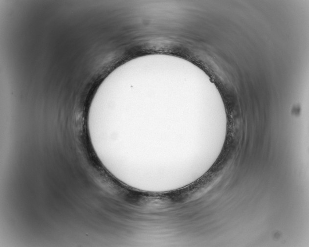X0000103130597200809191943