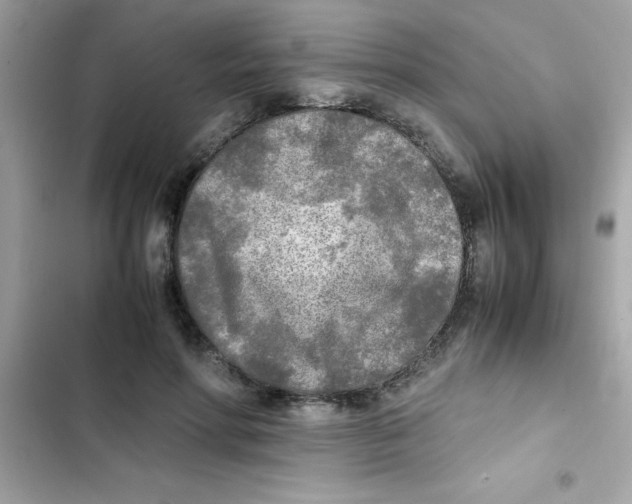 X0000103130598200809191943