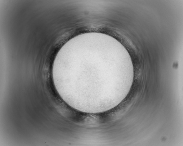 X0000103130599200809191943