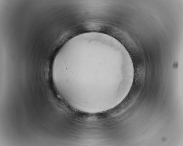 X0000103130600200809191943