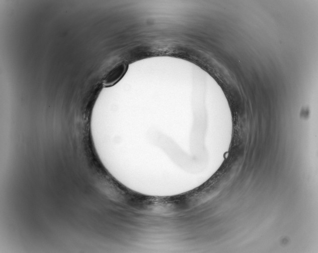 X0000103130601200809191943