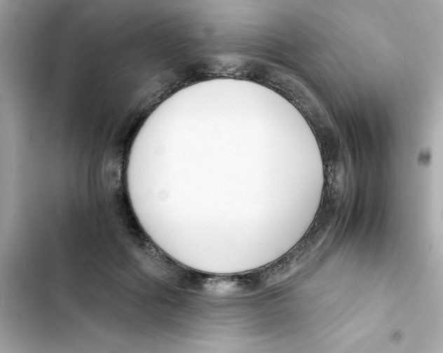 X0000103130602200809191943