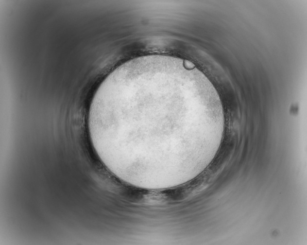 X0000103130603200809191943