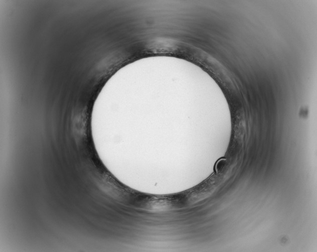 X0000103130604200809191943