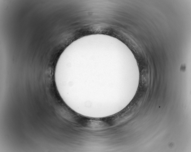 X0000103130605200809191943
