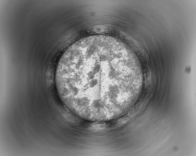 X0000103130606200809191943