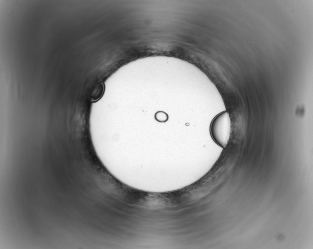 X0000103130608200809191943