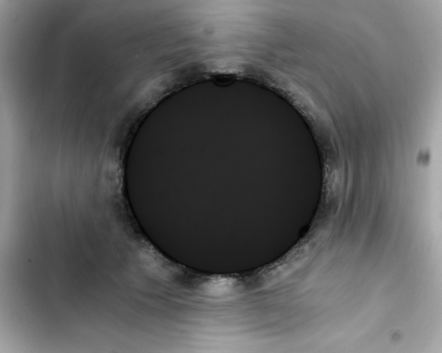 X0000103130609200809191943