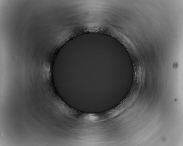 X0000103130610200809191943
