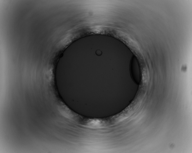 X0000103130611200809191943