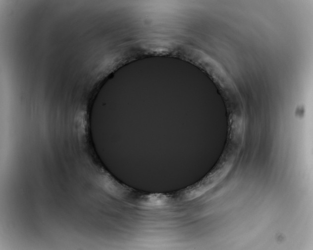 X0000103130612200809191943