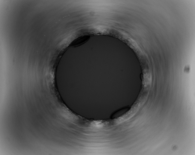 X0000103130613200809191943
