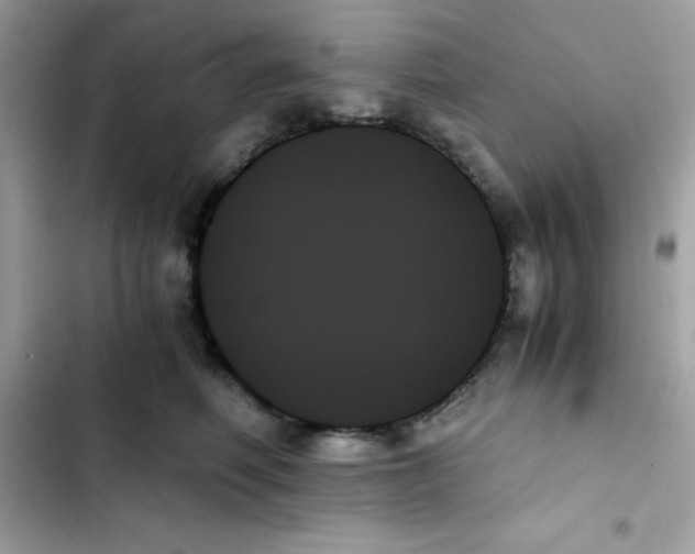 X0000103130614200809191943