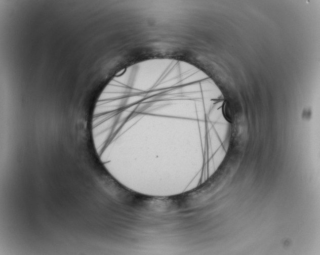 X0000103130615200809191943