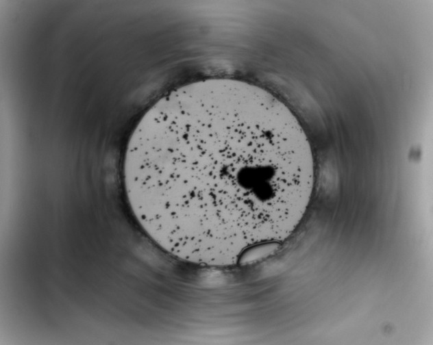 X0000103130616200809191943