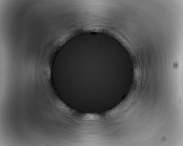 X0000103130617200809191943
