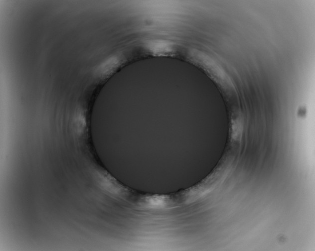 X0000103130618200809191943