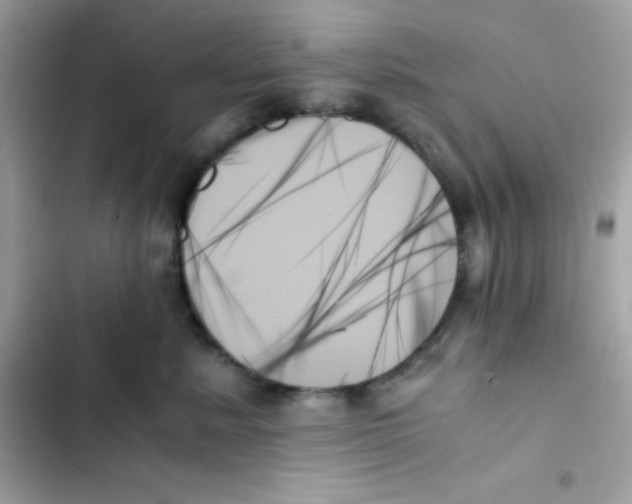 X0000103130619200809191943