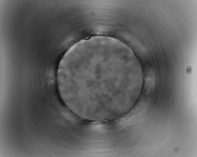 X0000103130620200809191942