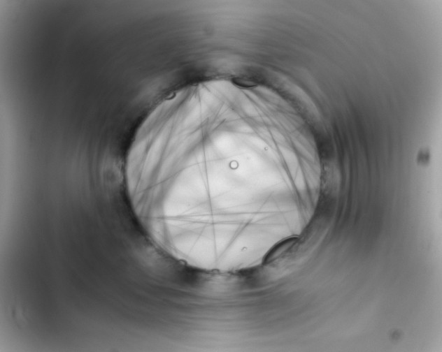 X0000103130621200809191942