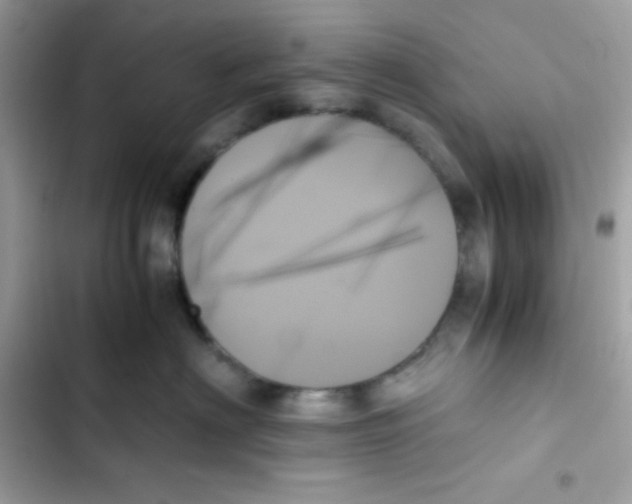 X0000103130622200809191942