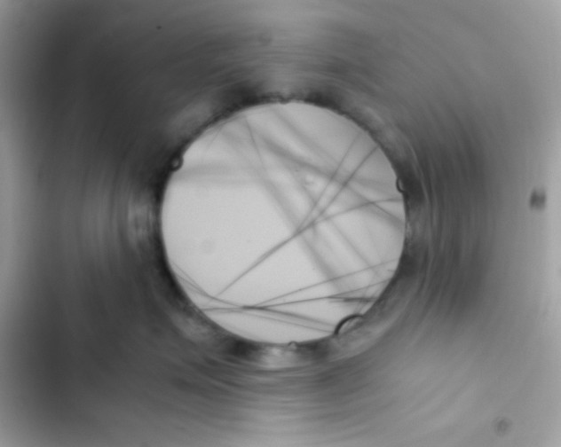 X0000103130623200809191942