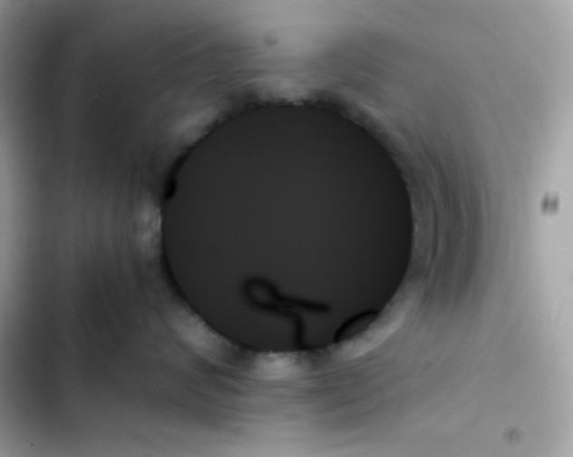 X0000103130624200809191942