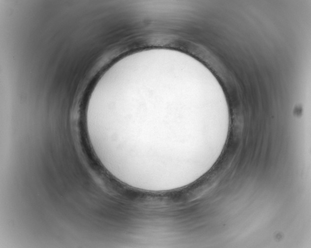 X0000103130626200809191942