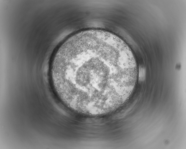 X0000103130627200809191942