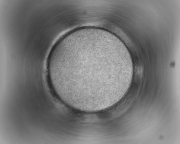 X0000103130628200809191942