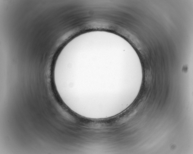 X0000103130629200809191942