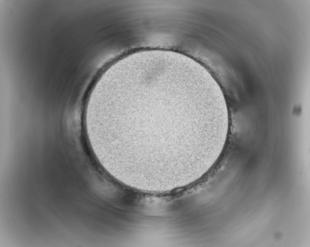 X0000103130632200809191942