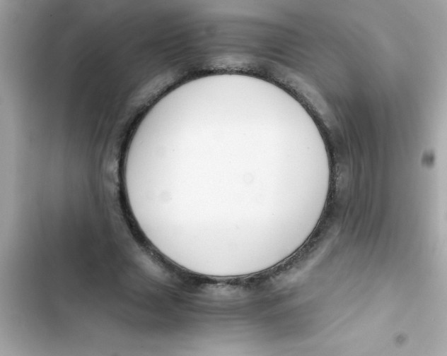 X0000103130633200809191942