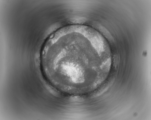 X0000103130634200809191942