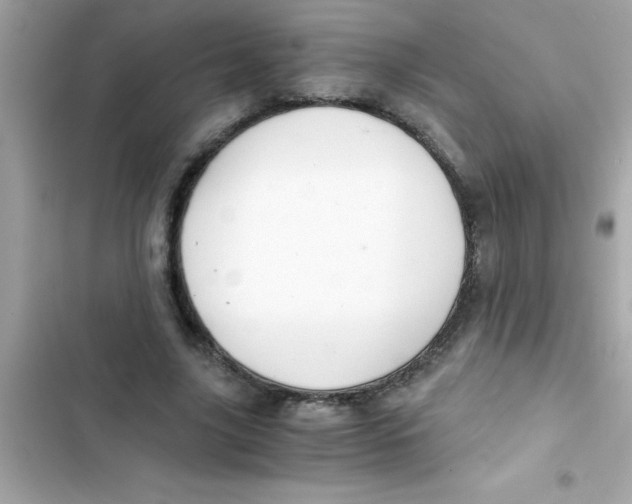 X0000103130635200809191942