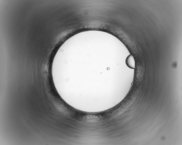 X0000103130636200809191942