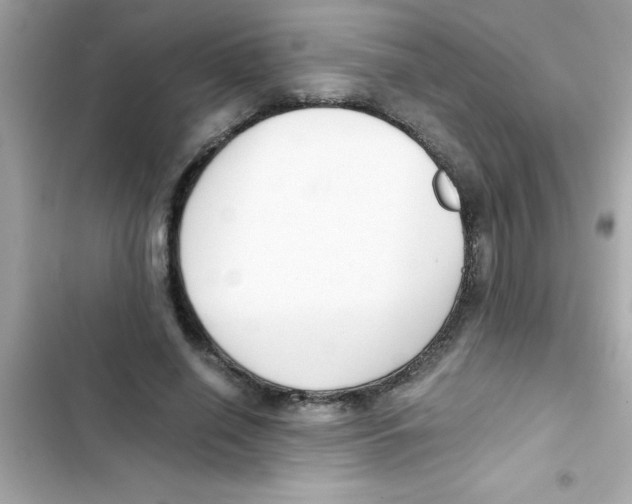 X0000103130638200809191942
