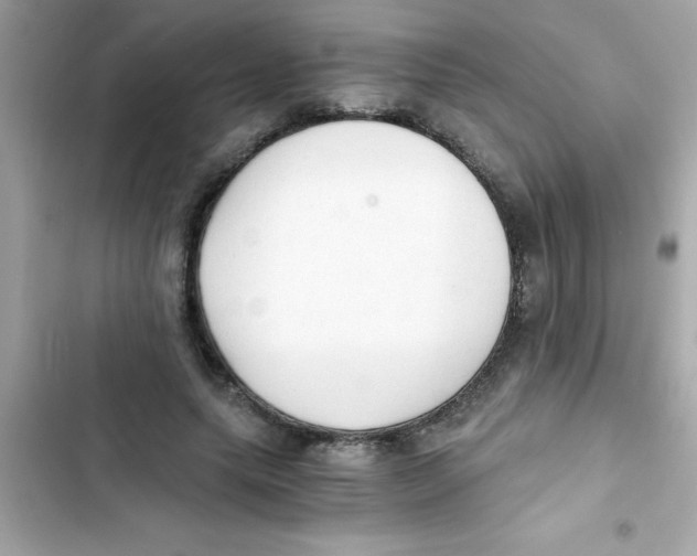 X0000103130639200809191942